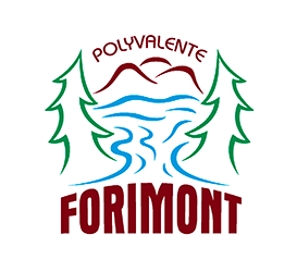 https://www.cssmm.gouv.qc.ca/polyvalente-forimont/