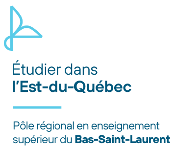 Logo ÉDEQ BSL horizontal transparent